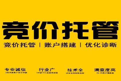 百度广告投放策略与效果评估案例